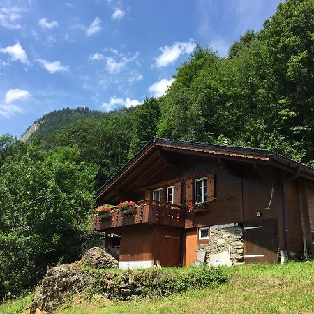 Villa Chalet Julian à Lütschenthal Extérieur photo