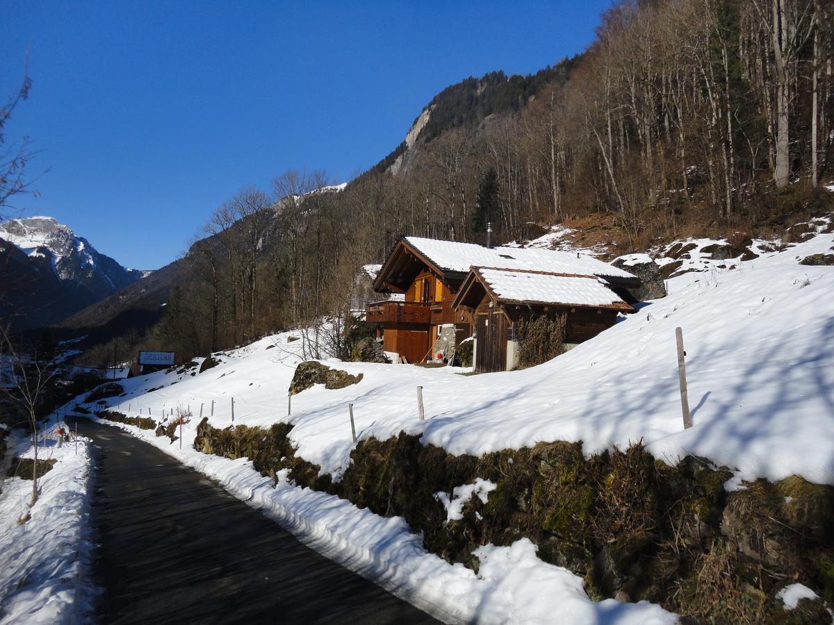 Villa Chalet Julian à Lütschenthal Extérieur photo