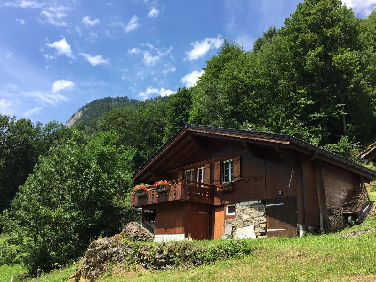 Villa Chalet Julian à Lütschenthal Extérieur photo